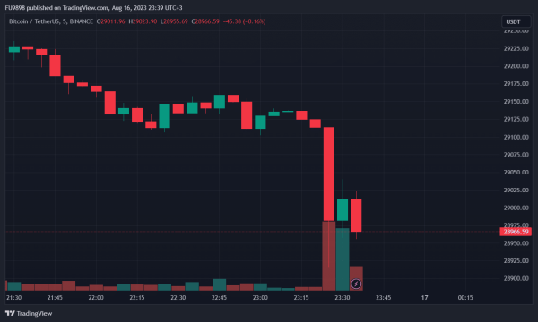 Why Has the Bitcoin Price Plunged? What's the Reason for the Decline Below $29,000? Why Has the Bitcoin Price Plunged? What's the Reason for the Decline Below $29,000?
