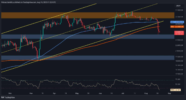 How Low Can BTC Go Following the 11% Weekly Crash? (Bitcoin Price Analysis) How Low Can BTC Go Following the 11% Weekly Crash? (Bitcoin Price Analysis)
