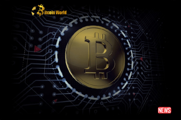 Bitcoin Ownership Decentralization Increases as New Investors Join the Revolution Bitcoin Ownership Decentralization Increases as New Investors Join the Revolution