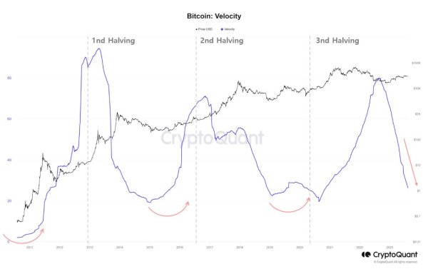 Institutional Bitcoin Accumulation Phase Likely Complete: Analysis Institutional Bitcoin Accumulation Phase Likely Complete: Analysis
