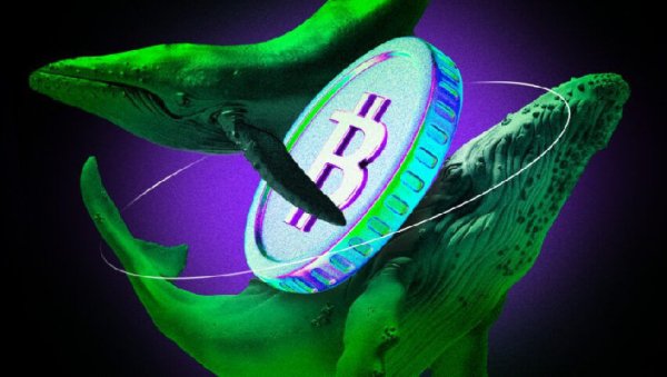 Institutional Bitcoin Accumulation Phase Likely Complete: Analysis Institutional Bitcoin Accumulation Phase Likely Complete: Analysis