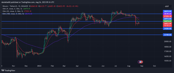 BTC On-Chain Network Activity Stabilizing, Is This A Good Sign?