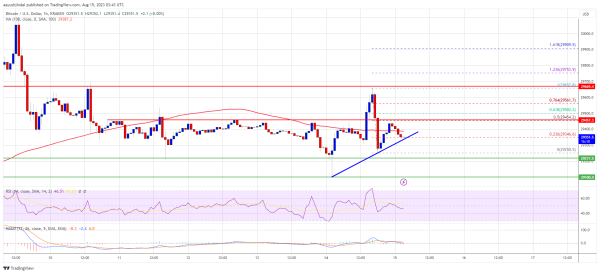 Bitcoin Price Relatively Muted &ndash; What Could Trigger A Sharp Decline?