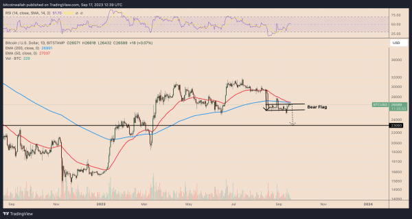 How low can the Bitcoin price go?