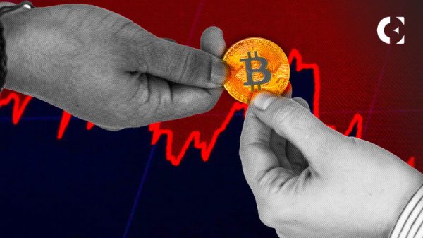 Will BTC Fall Despite Bitcoin’s Non-Whale Wallets Reach All-Time High? Will BTC Fall Despite Bitcoin’s Non-Whale Wallets Reach All-Time High?