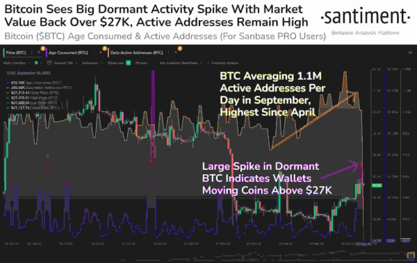 Why is Bitcoin up this week?