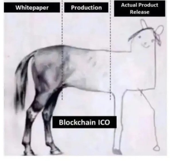 Predicting Bull Runs, Filing for ETFs, Collecting Txn Info and 20 Crypto Jokes