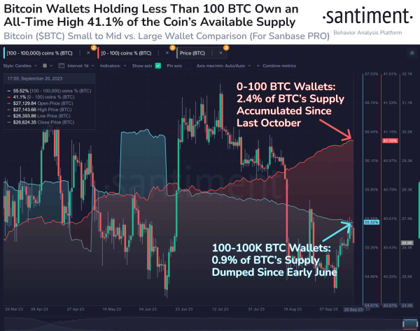 Bitcoin Options Data Shows Rise In Put Calls, Whale Holdings Drop