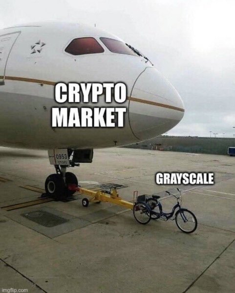 Predicting Bull Runs, Filing for ETFs, Collecting Txn Info and 20 Crypto Jokes