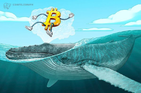 BTC price levels to watch as Bitcoin whales &lsquo;lure&rsquo; market to $42K