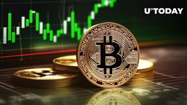 Bitcoin Traders Set Sight on $50,000 BTC Price as Altcoins Boom