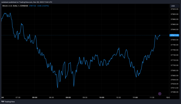 Bitcoin Spot ETF In January 2024: A New Player Just Joined The Game Bitcoin Spot ETF In January 2024: A New Player Just Joined The Game