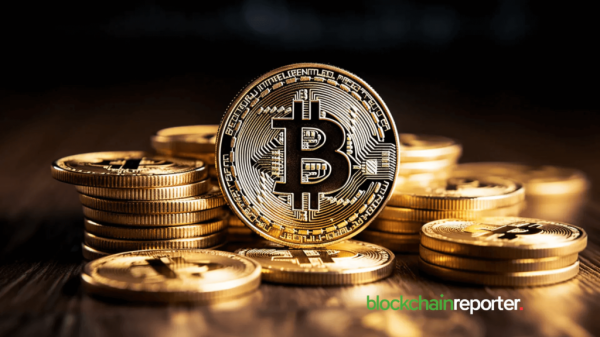 Digital Asset Ecosystem: The Expanding Universe of Cryptocurrency Digital Asset Ecosystem: The Expanding Universe of Cryptocurrency