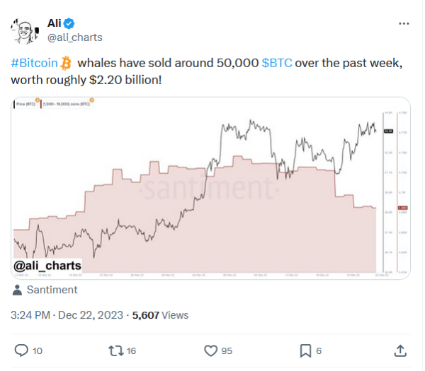 Bitcoin Whales Unload 50,000 BTC, Market Braces for Potential Surge