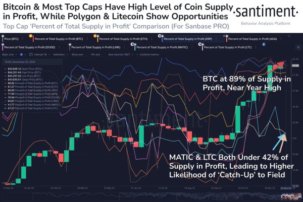 Whales sell over $2 billion Bitcoin in a week; Is a crash incoming?