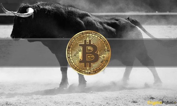 Bitcoin Eyes $50K to $53K Target: Optimistic Outlook Reinforced by Lack of Retail Liquidity
