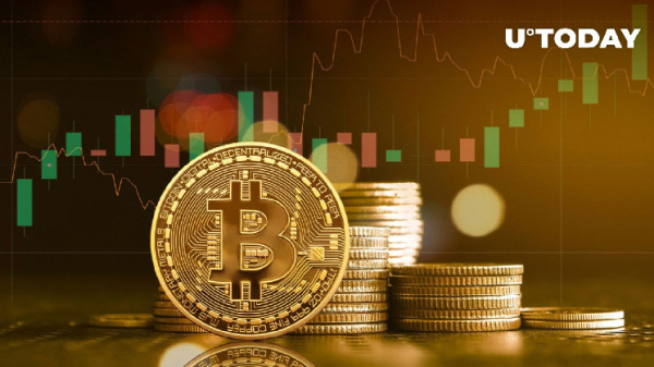 Bitcoin (BTC) Price Rally Launched by This Group of Investors Bitcoin (BTC) Price Rally Launched by This Group of Investors
