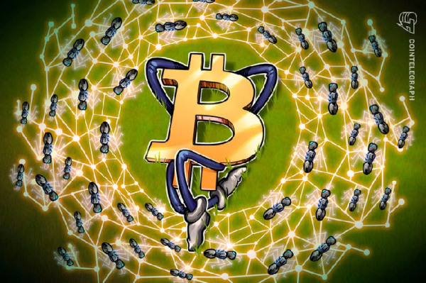 Bitcoin's top of funnel is becoming less noisy, suggests Swan Bitcoin CEO Bitcoin's top of funnel is becoming less noisy, suggests Swan Bitcoin CEO