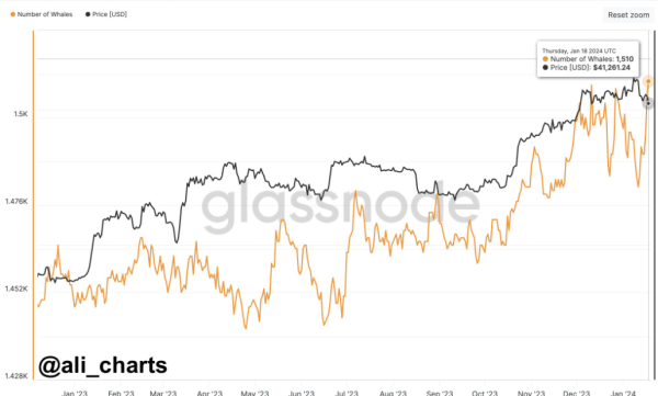 Bitcoin Prepares for Potential Pre-Halving Correction Bitcoin Prepares for Potential Pre-Halving Correction