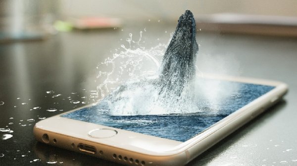 Bitcoin Whales Boosted Coin Stash by $3B in January, Data Show