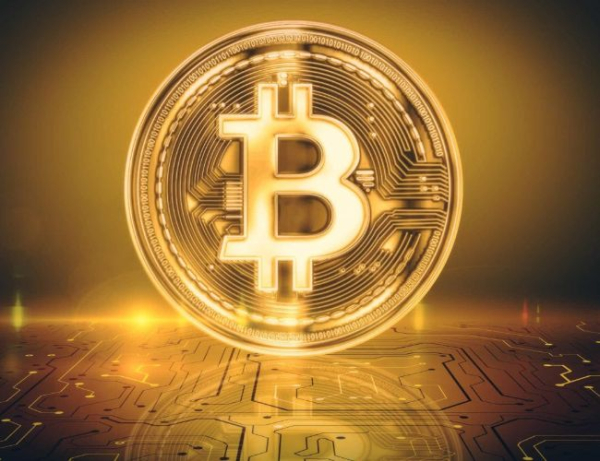 Bitcoin Holders Moving Big: Number Of Whale Wallets Reaches Highest Count In 15 Months