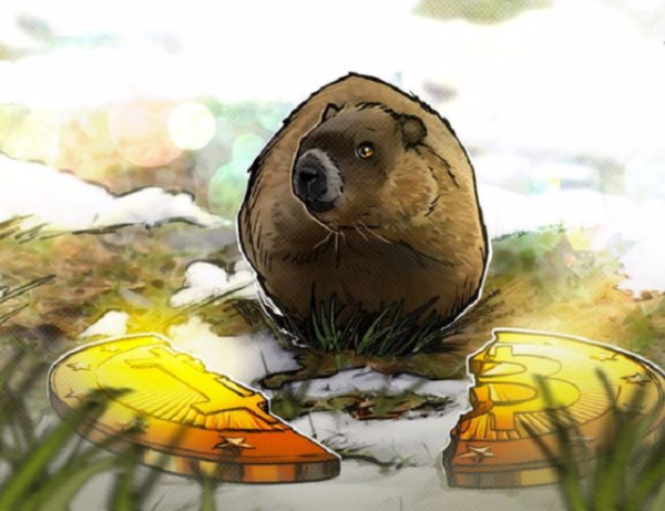 Bitcoin halving date bet vs. Groundhog prediction: Choose your fighter