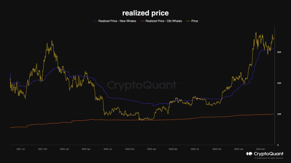 BTC&rsquo;s Path to New ATH Is Full of Obstacles but Whales&rsquo; Activity Brings Hope: Bitcoin Price Analysis