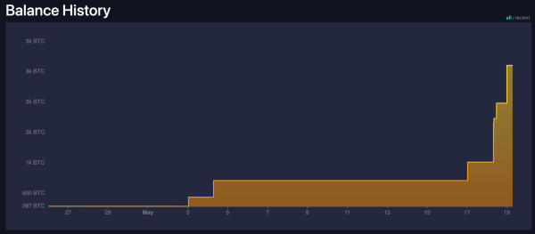 Bitcoin whale trader turns bullish, stacks $175 million BTC in May Bitcoin whale trader turns bullish, stacks $175 million BTC in May