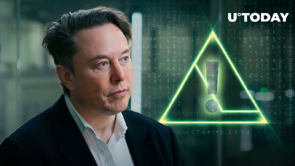Elon Musk Issues Crucial Security Warning, Crypto Community in Doubt
