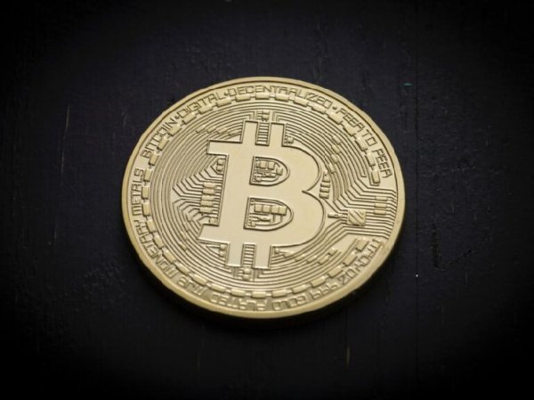 Crypto Whales Amassed Nearly $16.8 Billion Worth of Bitcoin After Spot ETF Launch Crypto Whales Amassed Nearly $16.8 Billion Worth of Bitcoin After Spot ETF Launch
