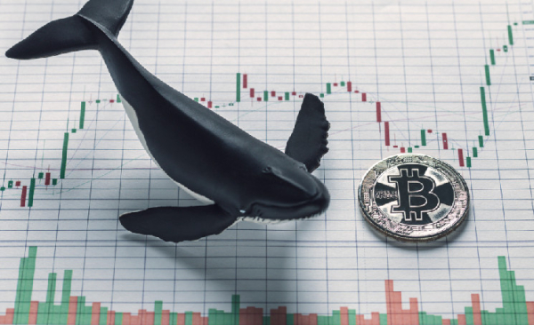 Bitcoin whale trader turns bullish, stacks $175 million BTC in May Bitcoin whale trader turns bullish, stacks $175 million BTC in May
