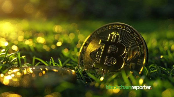 Bitcoin Realized Losses Surge to $6.7M Weekly