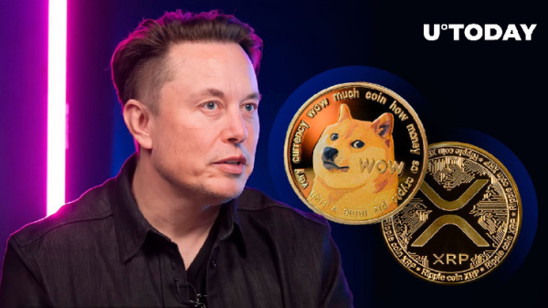 XRP, DOGE Armies Excited by Elon Musk's Message on X XRP, DOGE Armies Excited by Elon Musk's Message on X