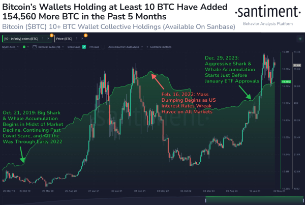 Bitcoin Indicator That’s Historically Predicted Price Rallies Flashing Bullish Signal, According to Santiment Bitcoin Indicator That’s Historically Predicted Price Rallies Flashing Bullish Signal, According to Santiment