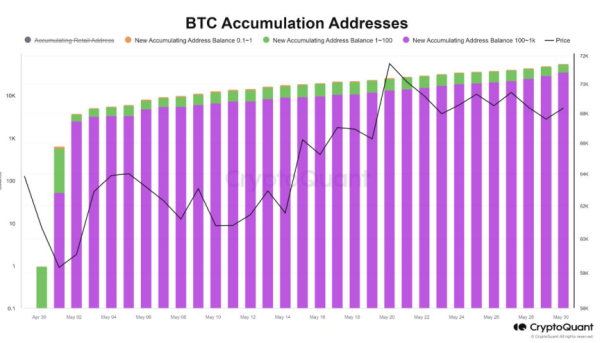 Bitcoin long-term holders resume accumulation for the first time since December: Bitfinex Bitcoin long-term holders resume accumulation for the first time since December: Bitfinex