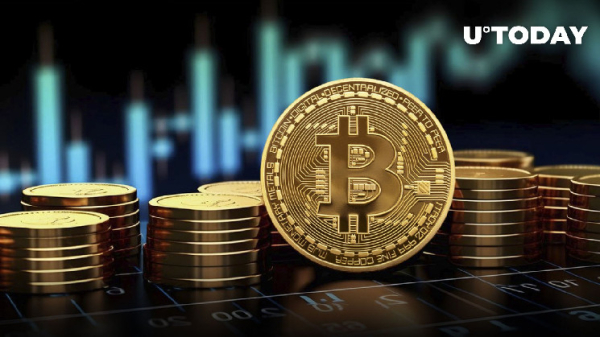 513 Million Bitcoin (BTC) in 24 Hours, Here's What's Coming