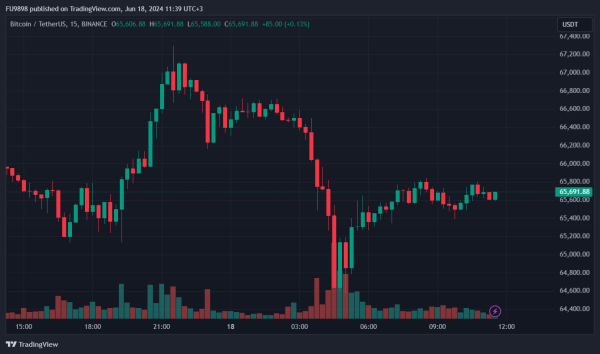 Why Did Bitcoin (BTC) Price Plummet? Here is the Probable Reason and Liquidation Data