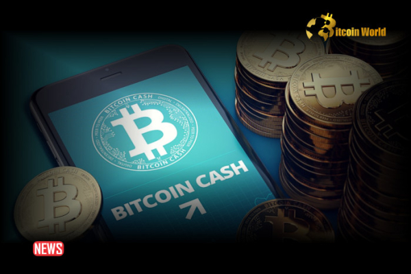 Bitcoin Cash Price Slides 5% on Escalating Mt. Gox Creditors Kraken Withdrawals Bitcoin Cash Price Slides 5% on Escalating Mt. Gox Creditors Kraken Withdrawals