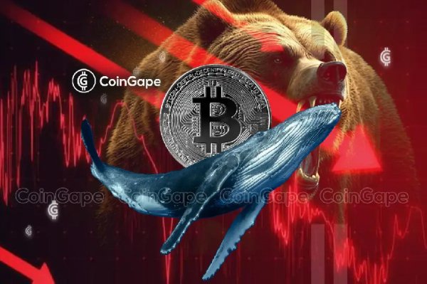 Bitcoin Mega Whales Buy the Dips, Holdings At Six-Year High