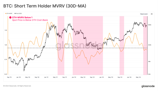 Bitcoin&rsquo;s tumble below $50k was due to overreaction from short-term holders