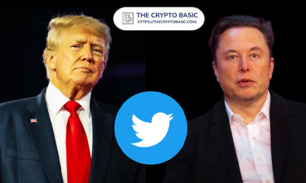 Shiba Inu Lead Reacts to Musk-Trump Interview, Says Crypto Future Looks Bright Shiba Inu Lead Reacts to Musk-Trump Interview, Says Crypto Future Looks Bright