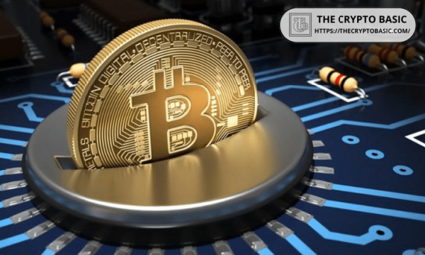 Expert Predicts Timeline For Bitcoin Surge As BTC Price in Halving Years: 2024 Mirrors 2016 and 2020