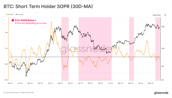 Bitcoin&rsquo;s tumble below $50k was due to overreaction from short-term holders