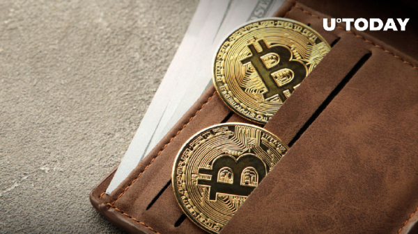 Dormant Bitcoin Wallet Awakens With 8,844% Gains: Details Dormant Bitcoin Wallet Awakens With 8,844% Gains: Details
