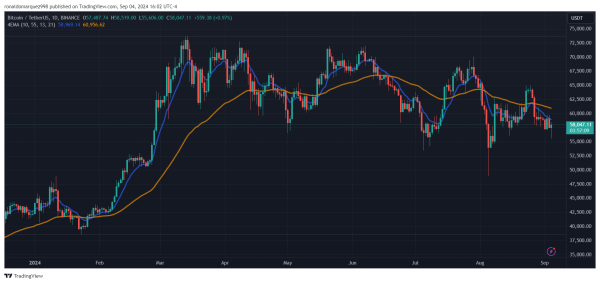 Senator Lummis Claims Bitcoin Could Cut National Debt In Half By 2045 Senator Lummis Claims Bitcoin Could Cut National Debt In Half By 2045