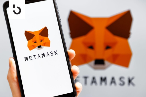 An Investor's Guide to MetaMask Portfolio An Investor's Guide to MetaMask Portfolio