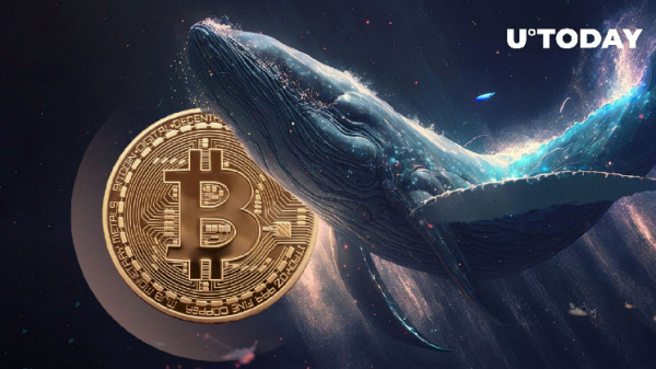 Thousands of Bitcoin Leave Binance in Mysterious Bull Whale Activity Thousands of Bitcoin Leave Binance in Mysterious Bull Whale Activity