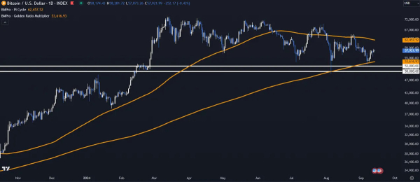 Bitcoin Price Action: What to Expect Next