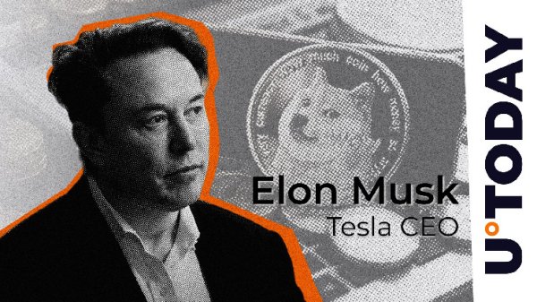 Elon Musk Responds to Horror Legend Stephen King’s Critique After Important Development Elon Musk Responds to Horror Legend Stephen King’s Critique After Important Development