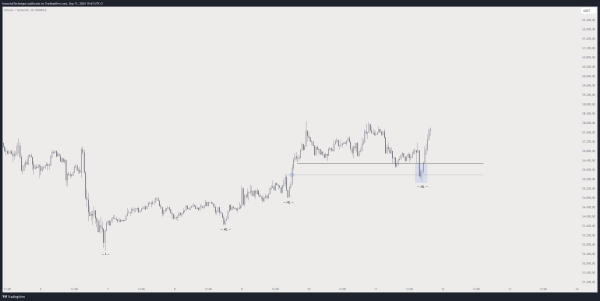 Crypto Trader Says Bitcoin Short Squeeze Imminent, Shares ‘Honest’ Opinion on BTC Progress Crypto Trader Says Bitcoin Short Squeeze Imminent, Shares ‘Honest’ Opinion on BTC Progress